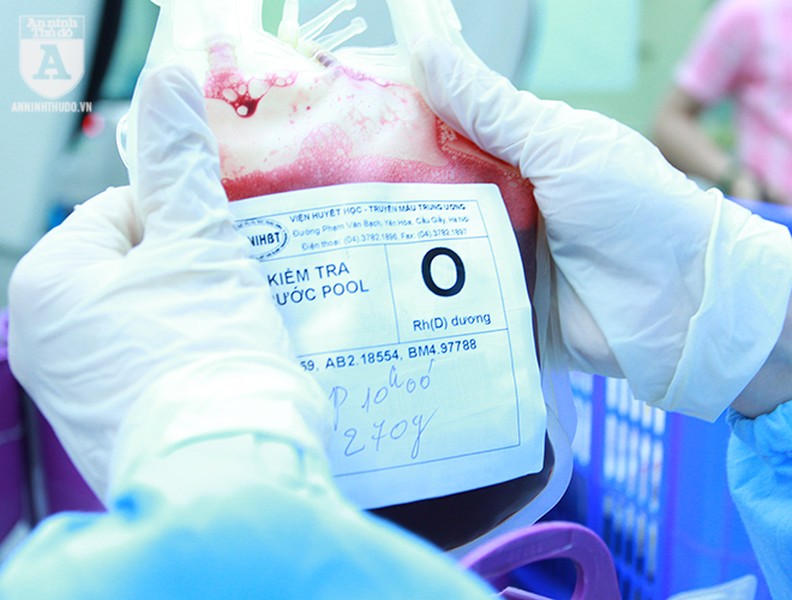 Cận cảnh nơi điều chế máu lớn nhất Việt Nam